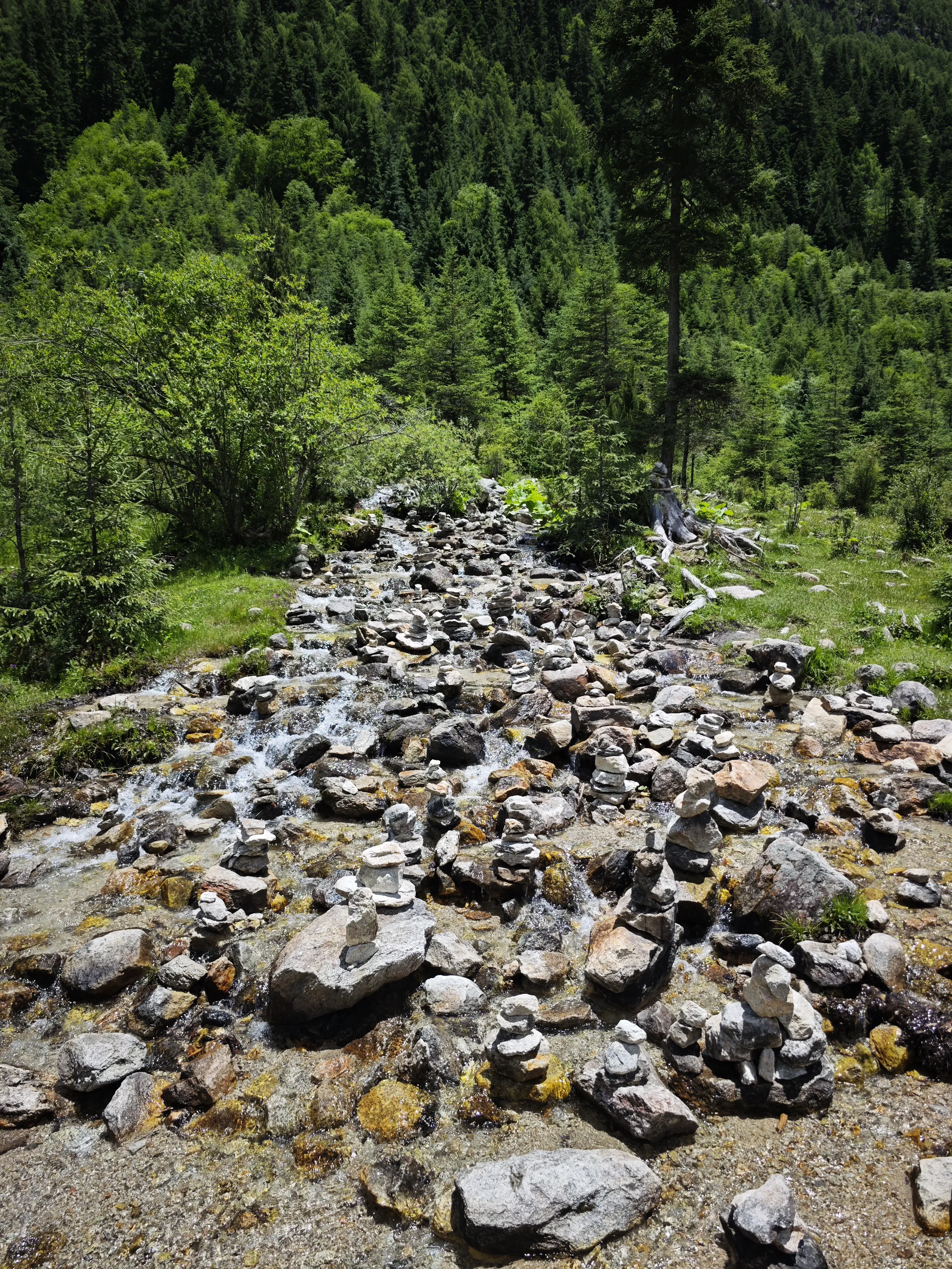 2025-07 四川省·四姑娘山 8