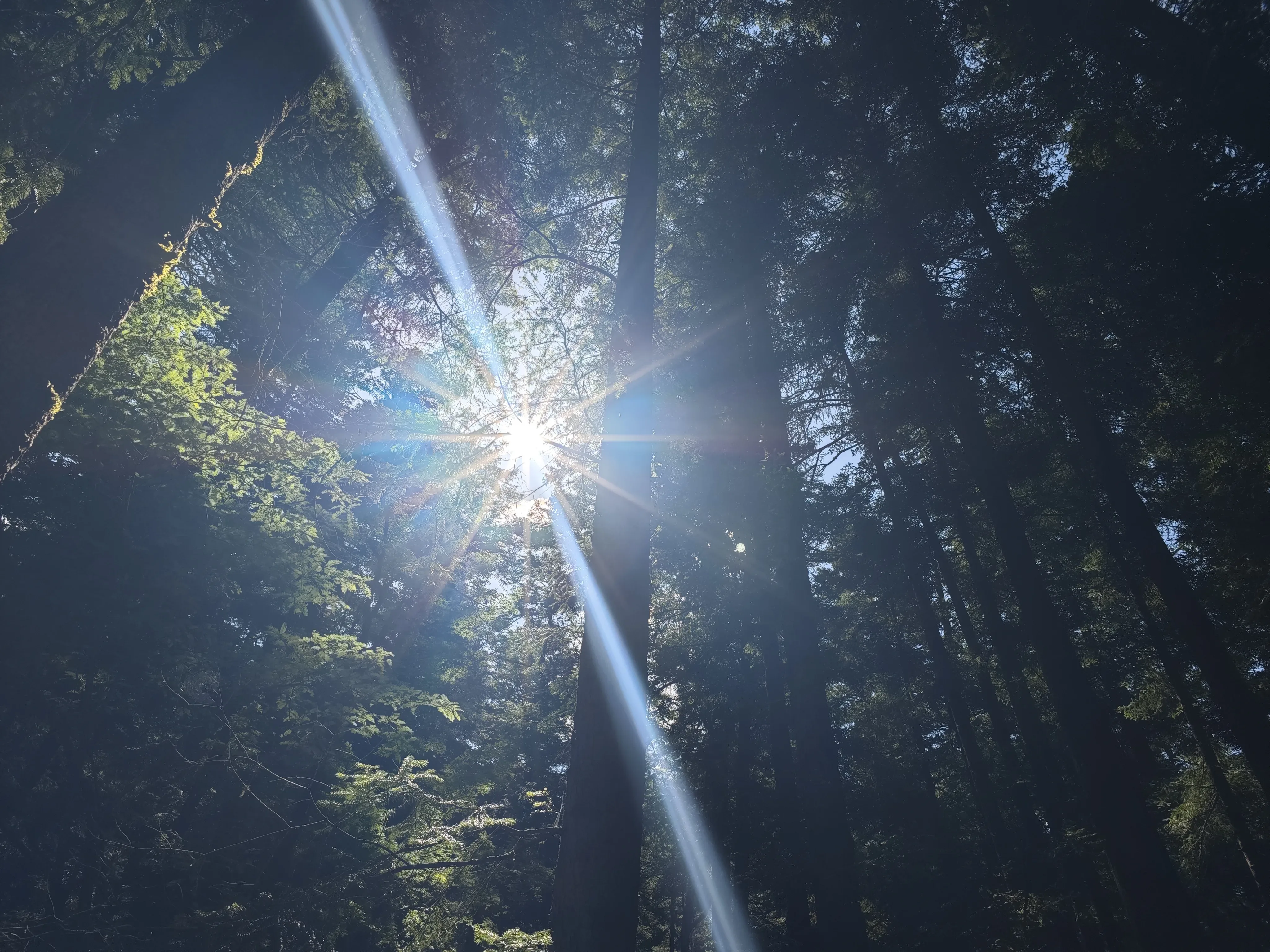 2025-07 四川·九寨沟 5