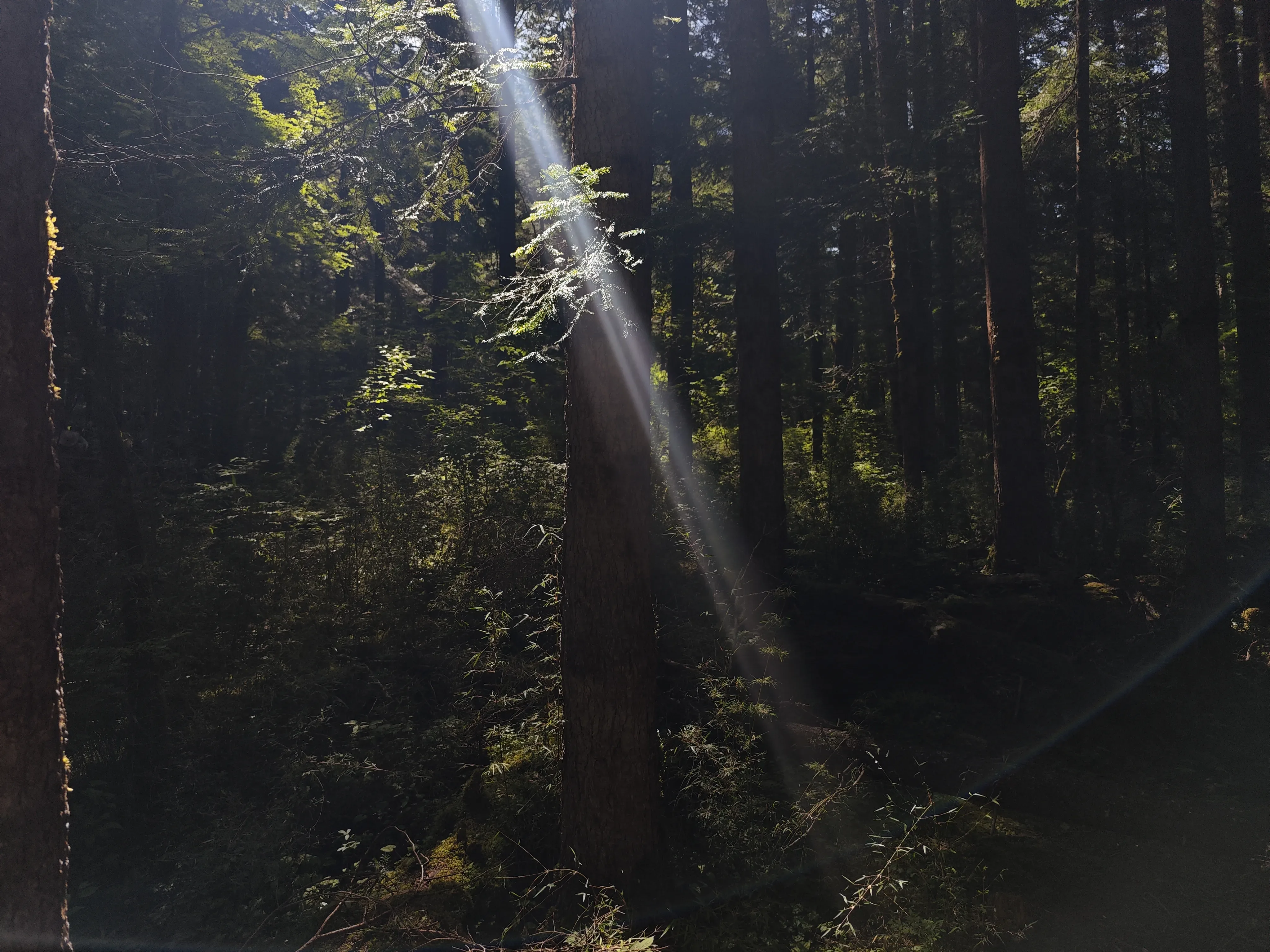 2025-07 四川·九寨沟 6