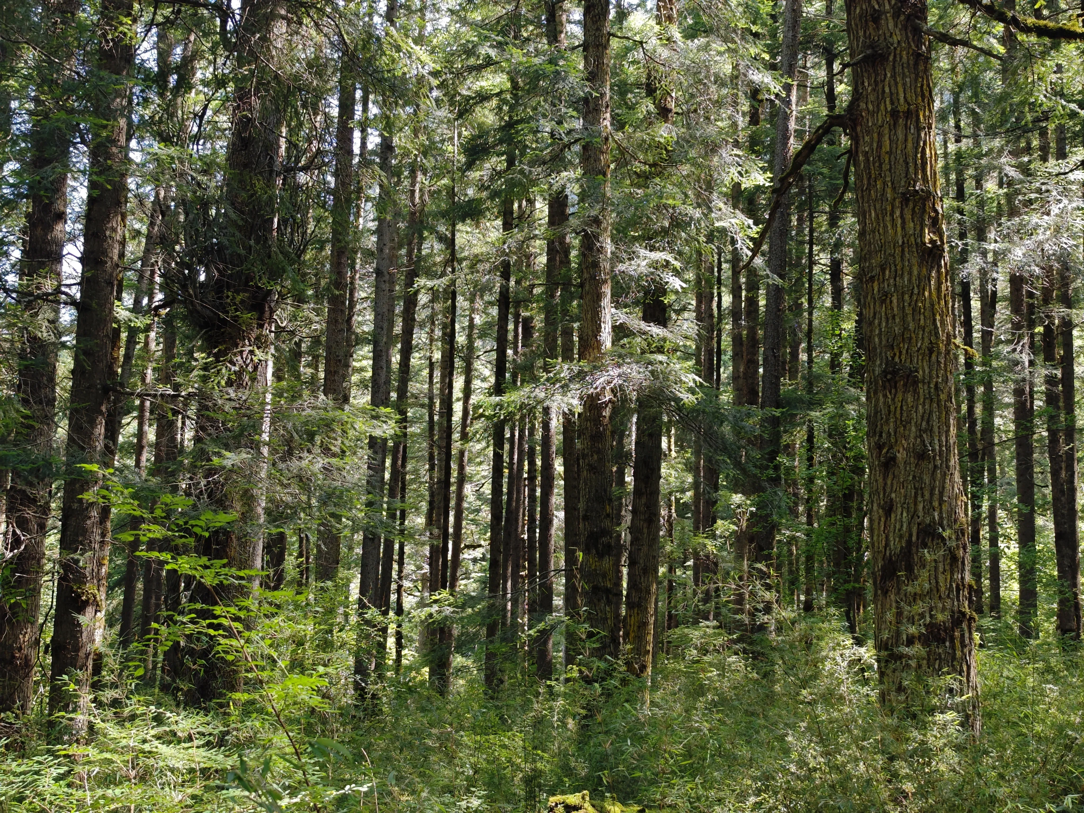 2025-07 四川·九寨沟 7