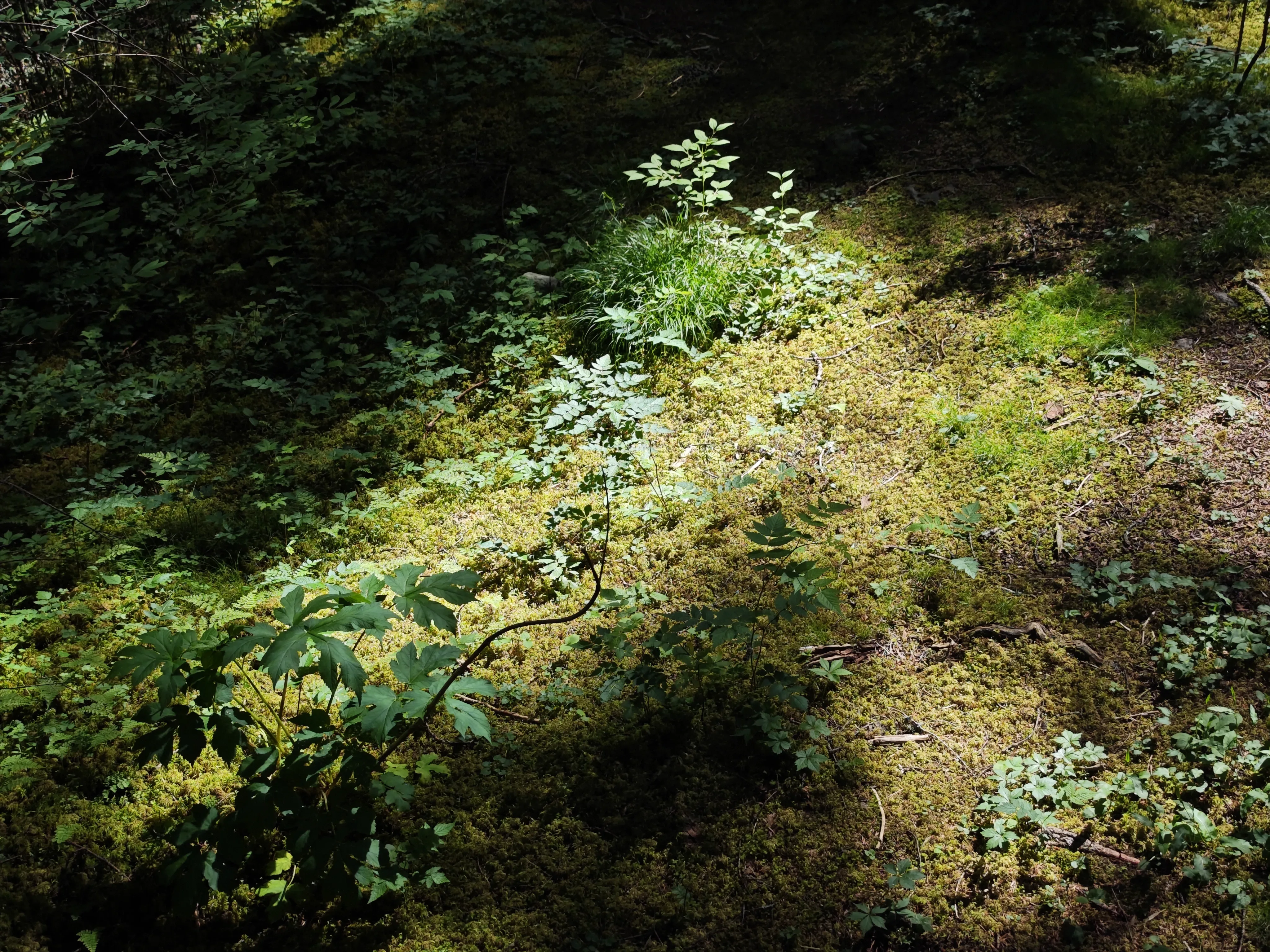 2025-07 四川·九寨沟 8