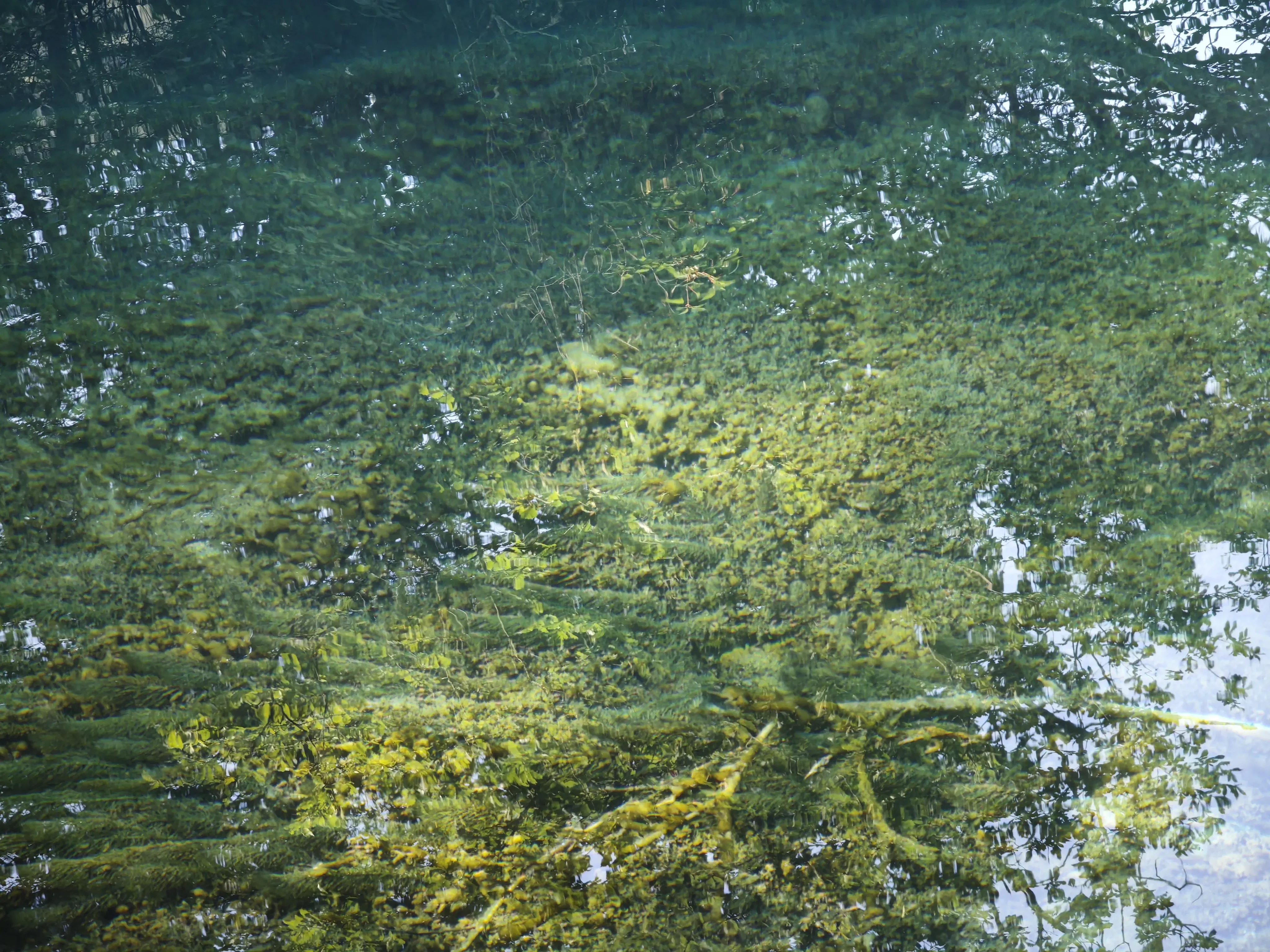 2025-07 四川·九寨沟 10