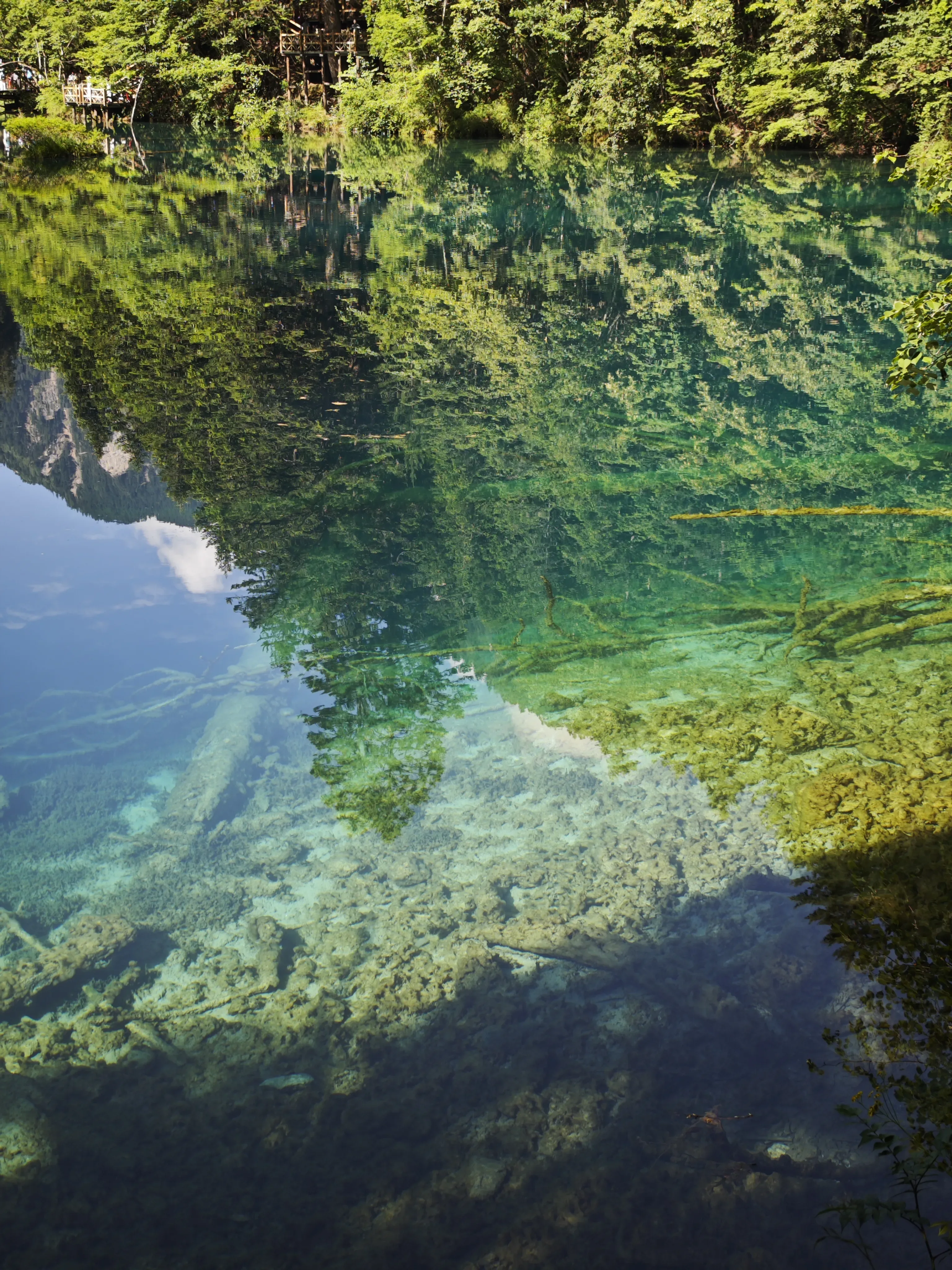 2025-07 四川·九寨沟 11