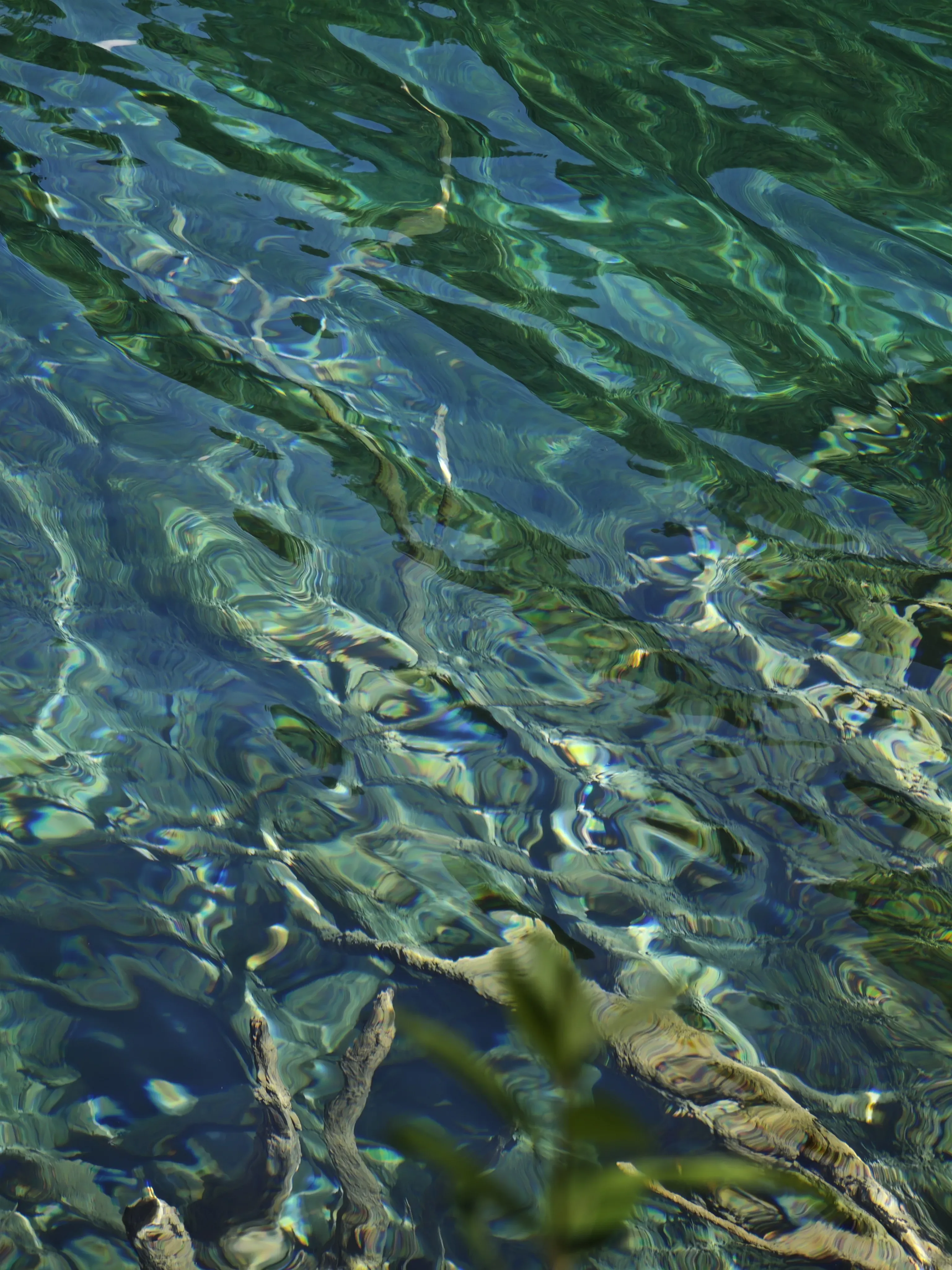 2025-07 四川·九寨沟 14